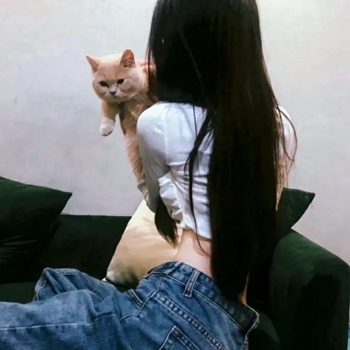 暗网:蝉3301