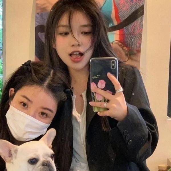 好莱坞队列